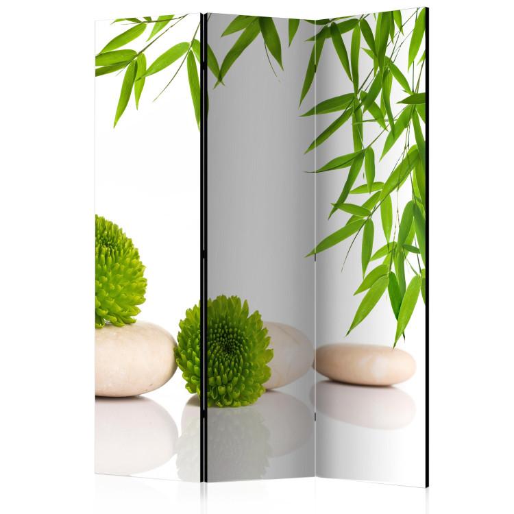 Room Divider Green Relaxation - stones and green plants in a Zen style on a white background