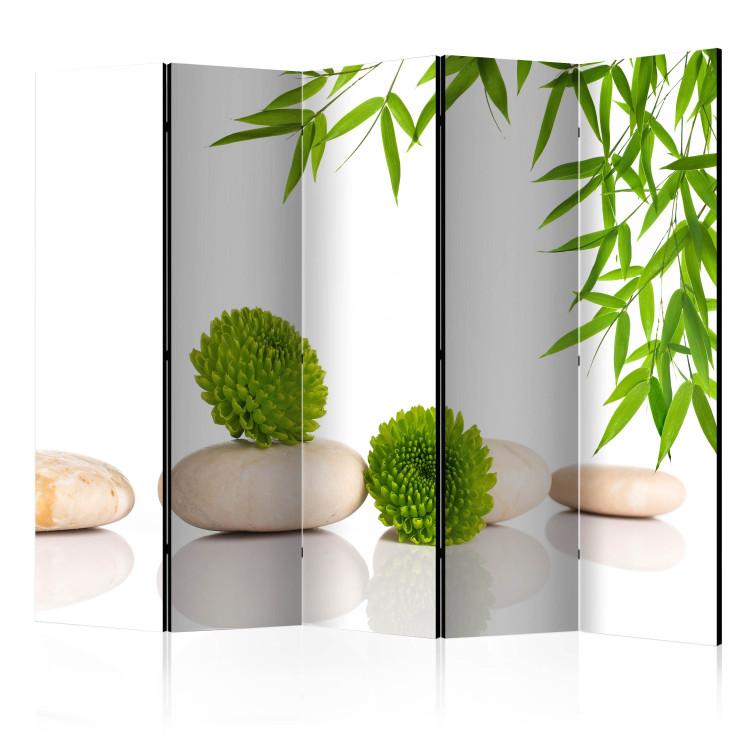 Room Divider Green Relaxation II - plants with stones in a Zen style on a white background