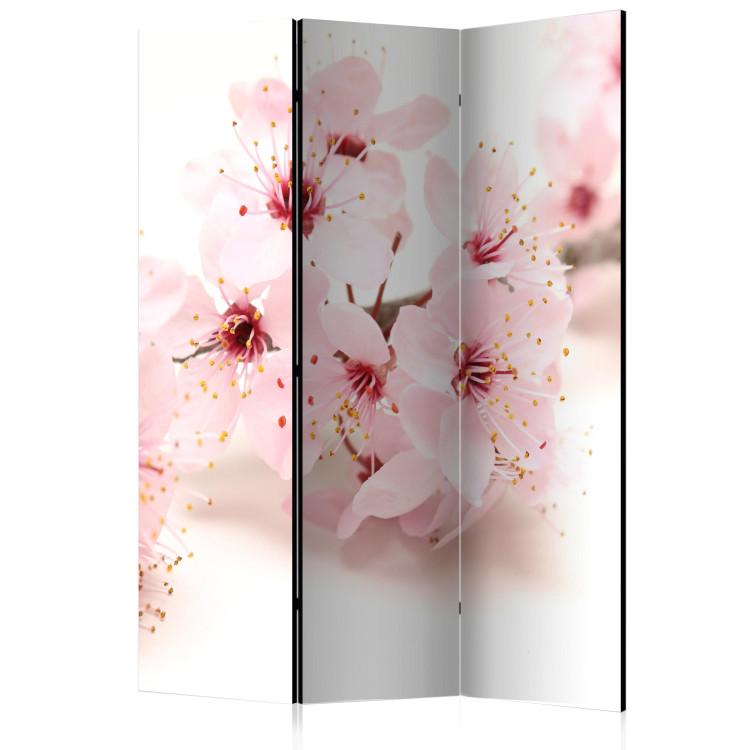 Room Divider Cherry Blossom - pink oriental plant on a white background in a Zen motif