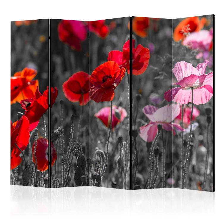 Room Divider Red Poppies II - red summer poppy flowers on a black and white background