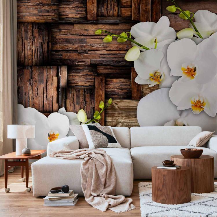 Wall Mural Blooming orchids