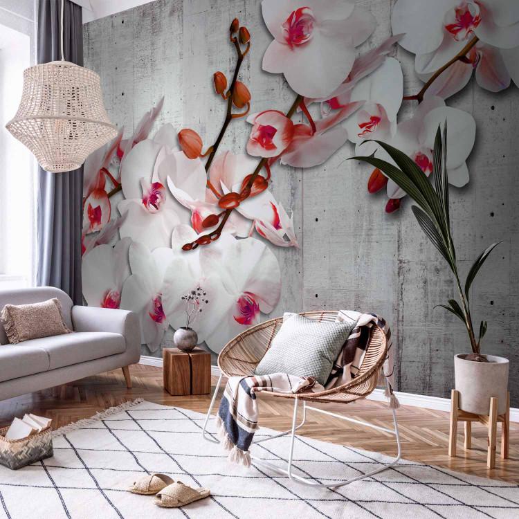 Wall Mural White orchids with pink accent - floral motif on concrete background