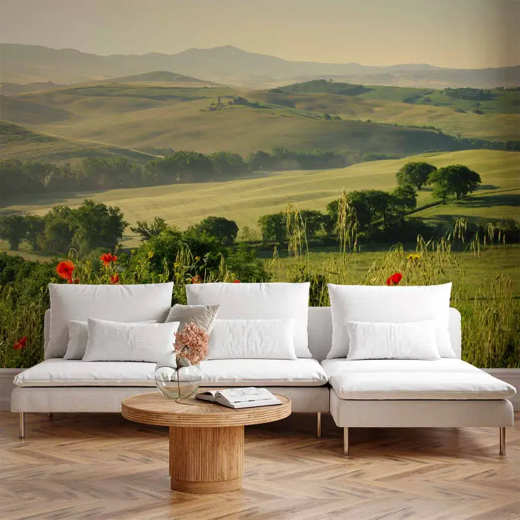 Poppies in Tuscany - landscape of Italian fields in summer with trees and mountains in the background