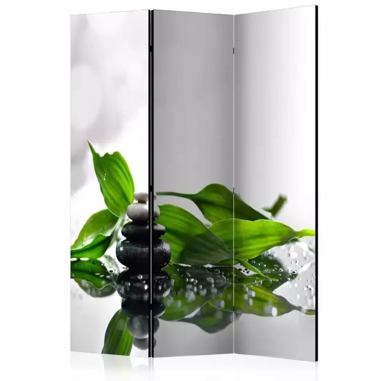 Room Divider Zen - colorful stones and wet green bamboo leaves on a white background