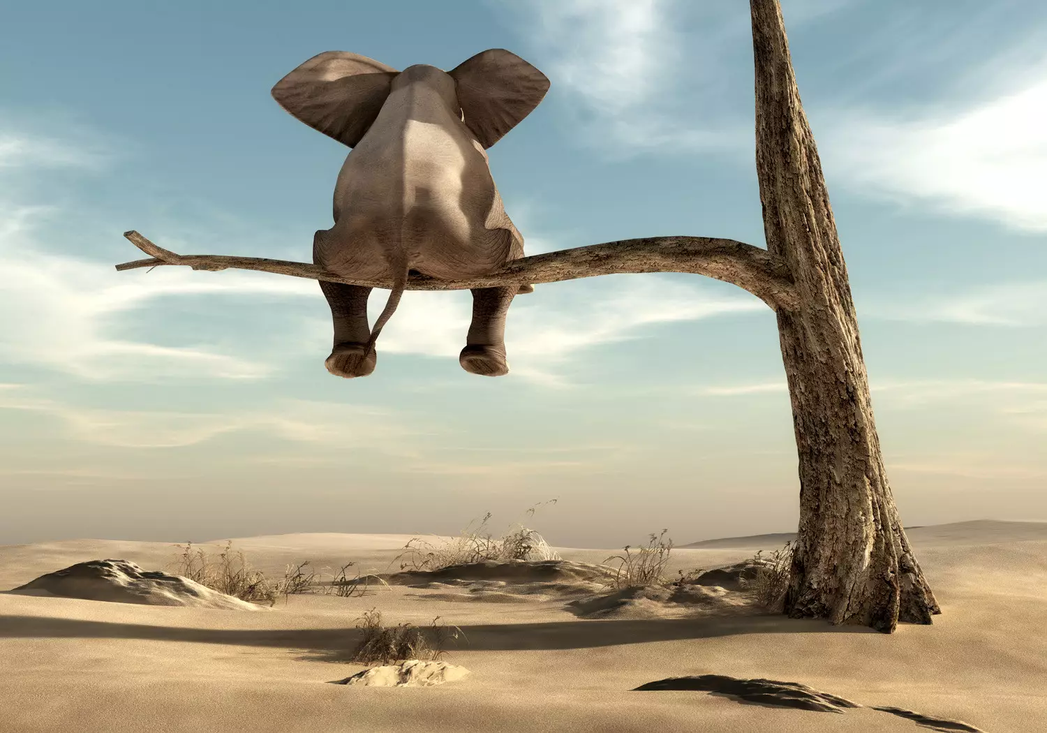 Papier Peint Photo Non Tissé - 400 X 280 Cm - Gris - Effet 3D