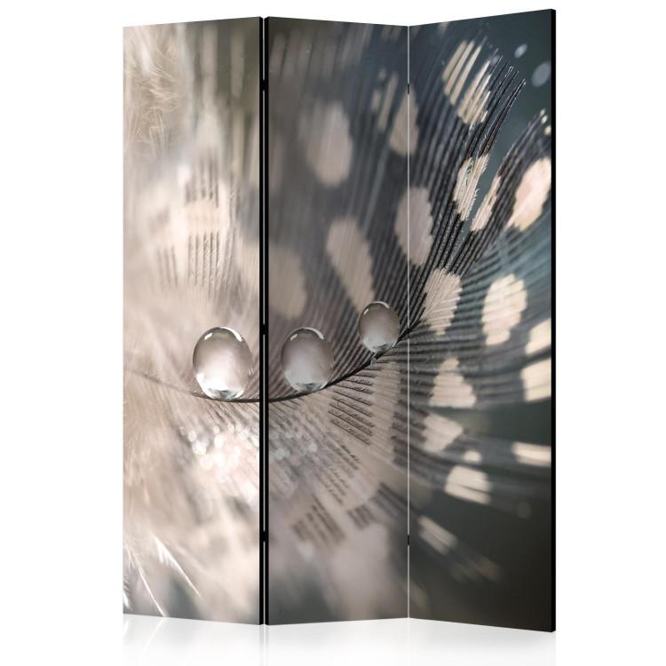 Room Divider Elegant Feather - romantic feather with water droplet on patterned background