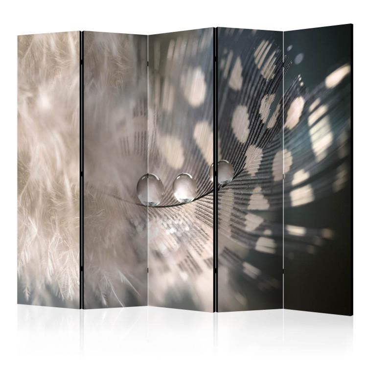 Room Divider Elegant Feather II - romantic feather with water droplet on light background