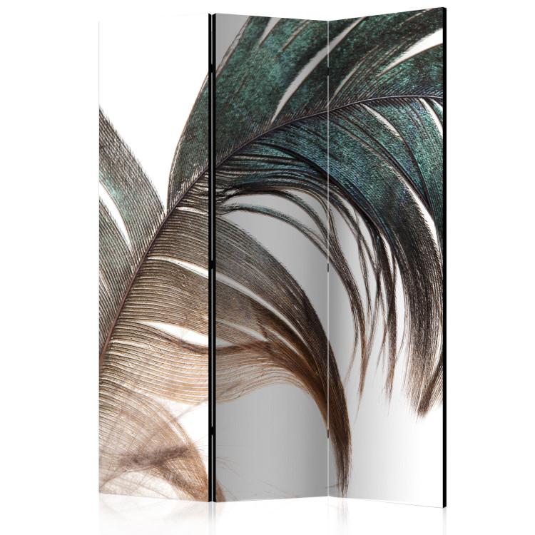 Room Divider Beautiful Feather - colorful feather on white background in romantic motif