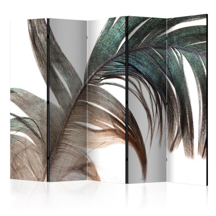 Room Divider Beautiful Feather II - colorful feather on white background in romantic motif