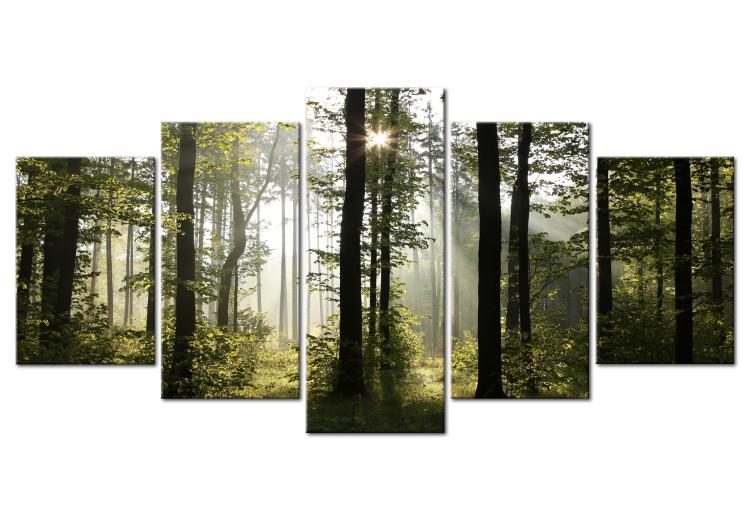 Canvas Print Green Light of Nature (5-part) - Nature's Glow in Forest Landscape
