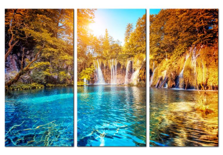 Canvas Print Waterfalls of Sunny Forest