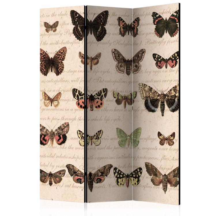 Room Divider Retro Style: Butterflies - colorful butterflies on old paper with writings