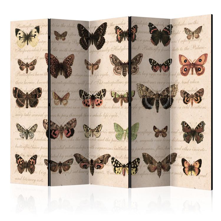 Room Divider Retro Style: Butterflies II - colorful butterflies on paper with writings
