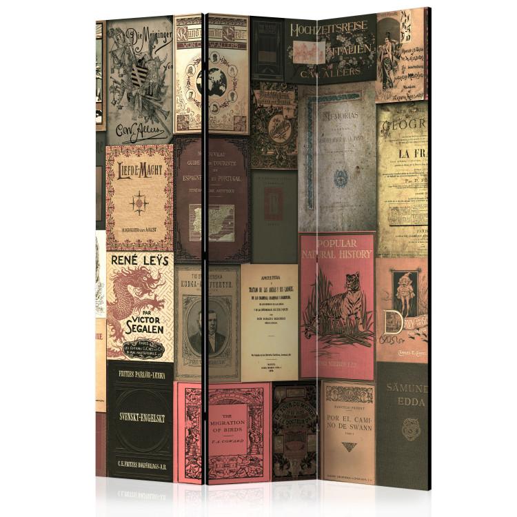 Room Divider Bookish Paradise - romantic mosaic texture from covers of retro books