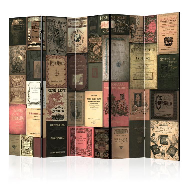 Room Divider Bookish Paradise II - grid of retro book covers in romantic style