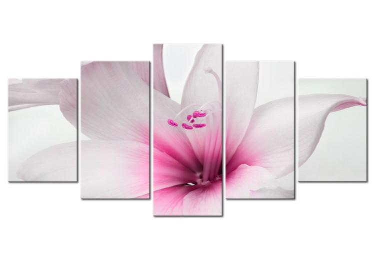 Canvas Print Amaryllis: Pink Charm - Romantic White Flower with Pink Element