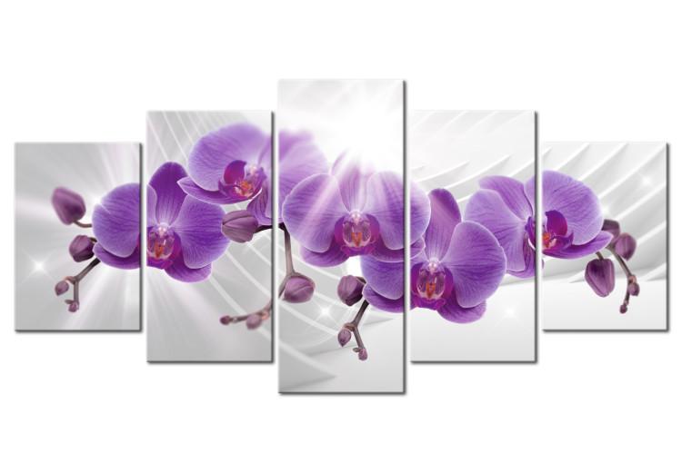 Canvas Print Abstract Garden: Purple Orchis
