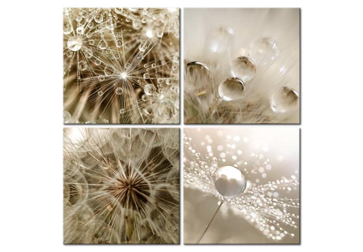 Canvas Print Beige Summer - Minimal Water Droplets in the Form of Abstract Flowers