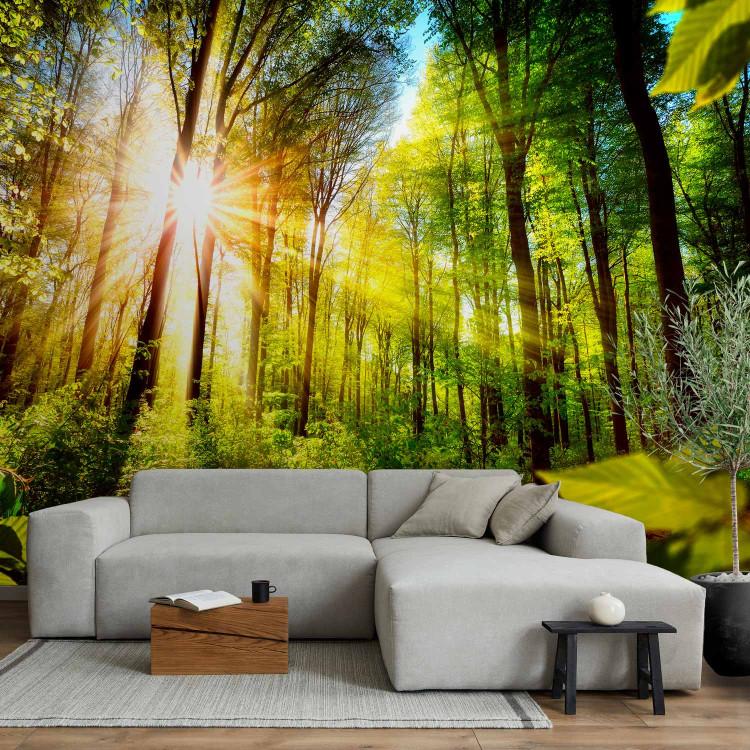 Wall Mural Forest Hideout