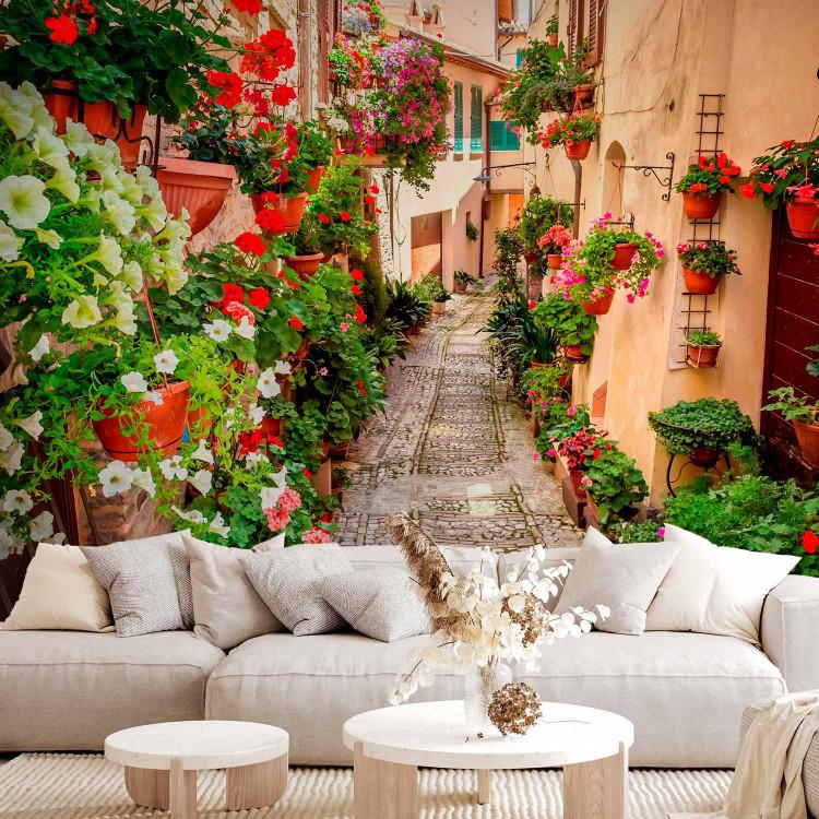 Wall Mural Umbria - Mediterranean landscape with colourful architecture and flowers