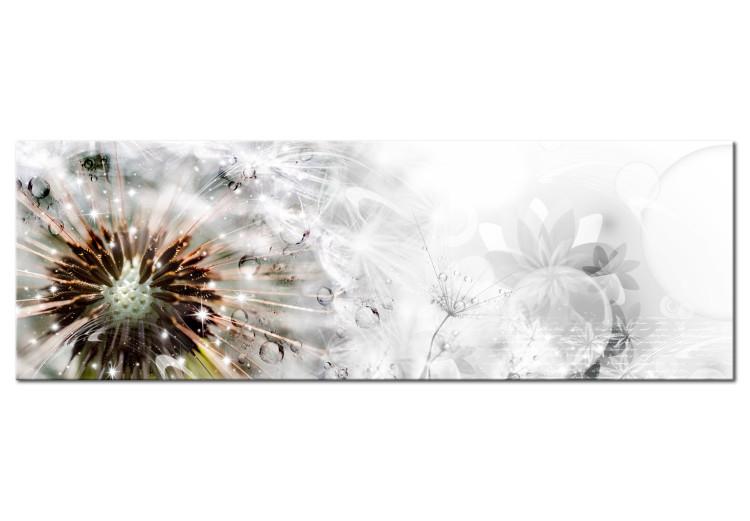 Canvas Print Dandelion morning - the petals of the plant bathed in dew in white