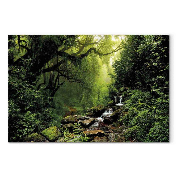 Canvas Print Waterfall in the Forest