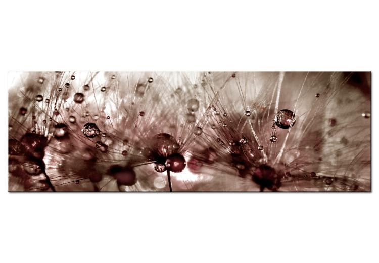 Canvas Print Dandelions After Rain (1-piece) - Delicate Flowers in Sunlight