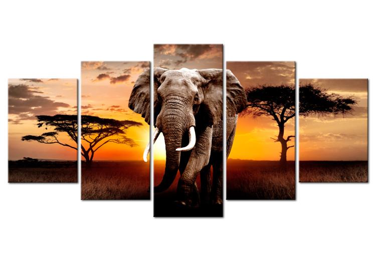 Canvas Print Elephant Trek (5-piece) - Sunset on the African Savanna