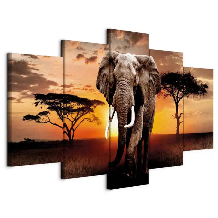colourful elephant pictures