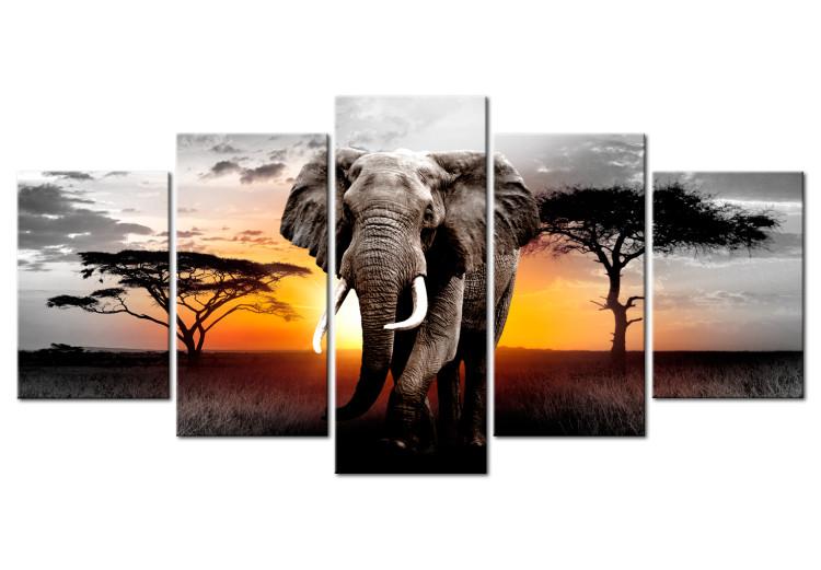 Canvas Print Elephant at Sunset (5-piece) - Journey Through Wild Africa