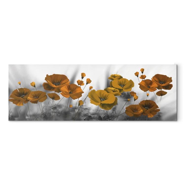 Canvas Print Colorful Poppies (1-piece) - Orange Flower Petals on a Gray Background