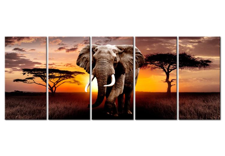 Canvas Print African Elephant (5-piece) - Animal Against a Sunset Background