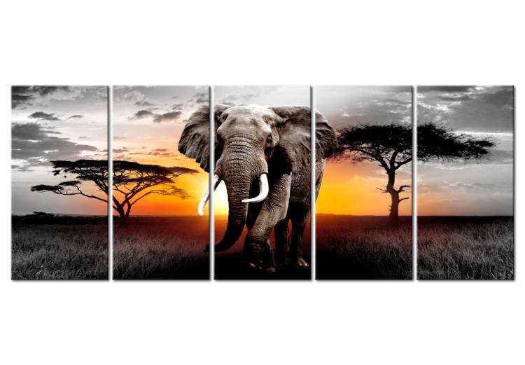 Canvas Print Beauty of Africa