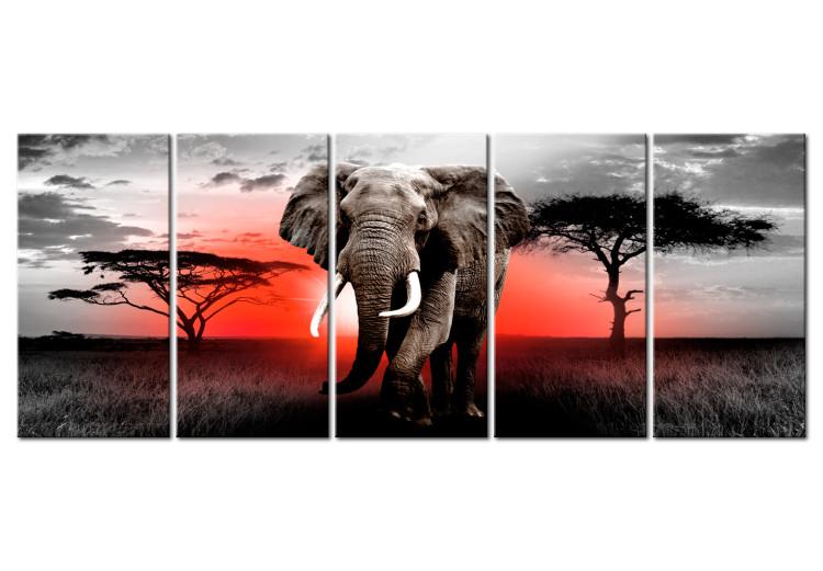 Canvas Print Sunset Over the Savanna (5-piece) - Elephant Against an African Sunset