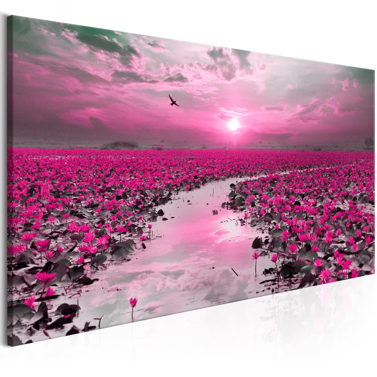 Canvas Print Lilies and Sunset (1-part) Wide - Landscape of Flower Field 107300 additionalImage 2