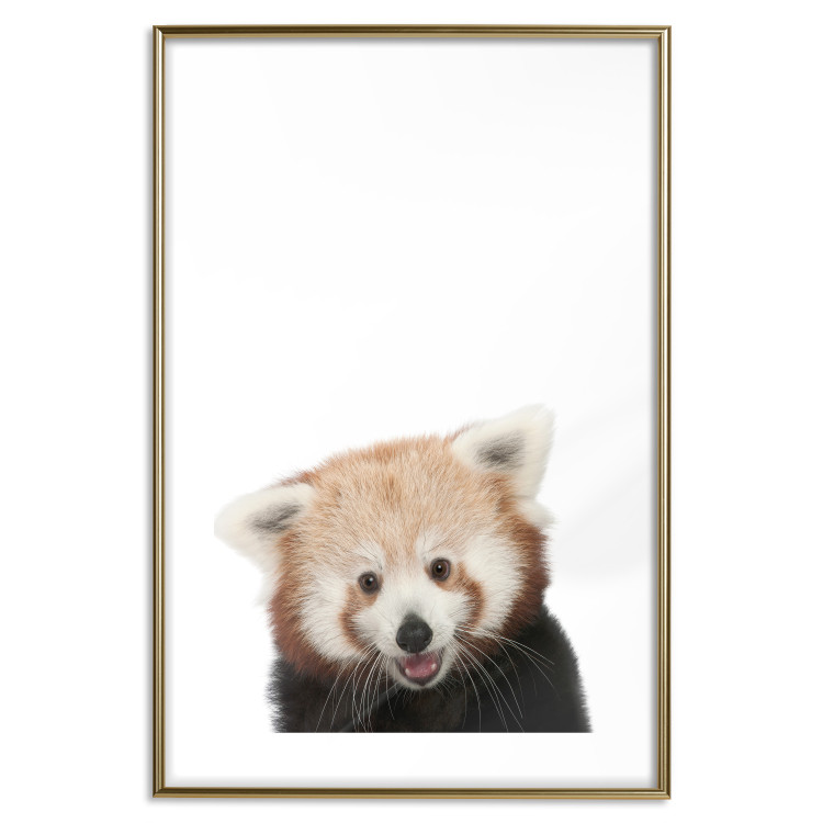 Wall Poster Young Panda - composition for children with a cheerful animal on a white background 114400 additionalImage 16
