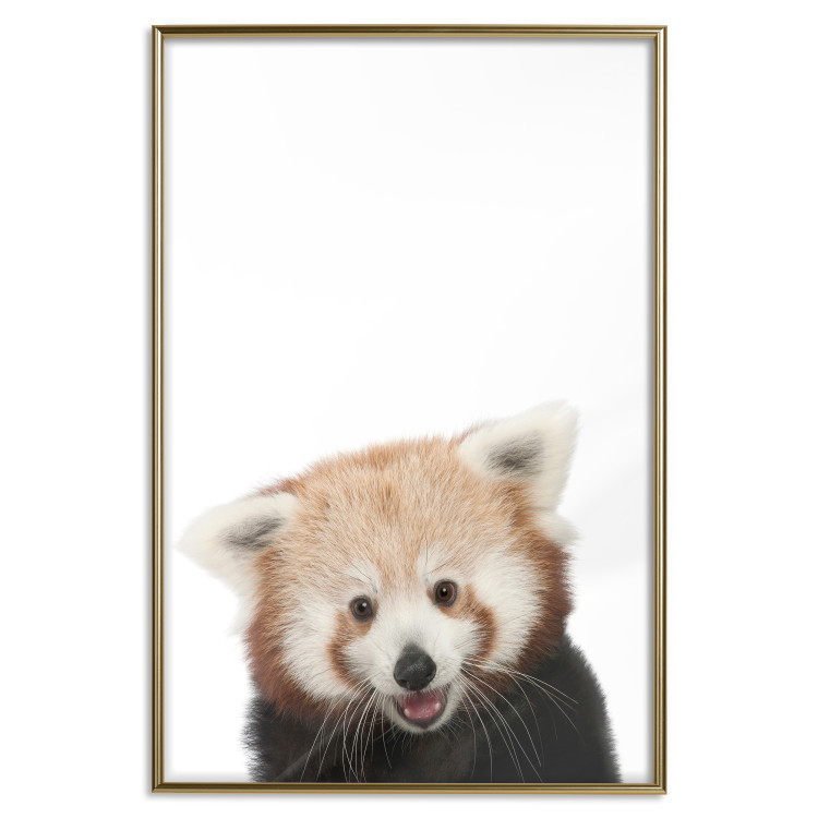 Wall Poster Young Panda - composition for children with a cheerful animal on a white background 114400 additionalImage 20