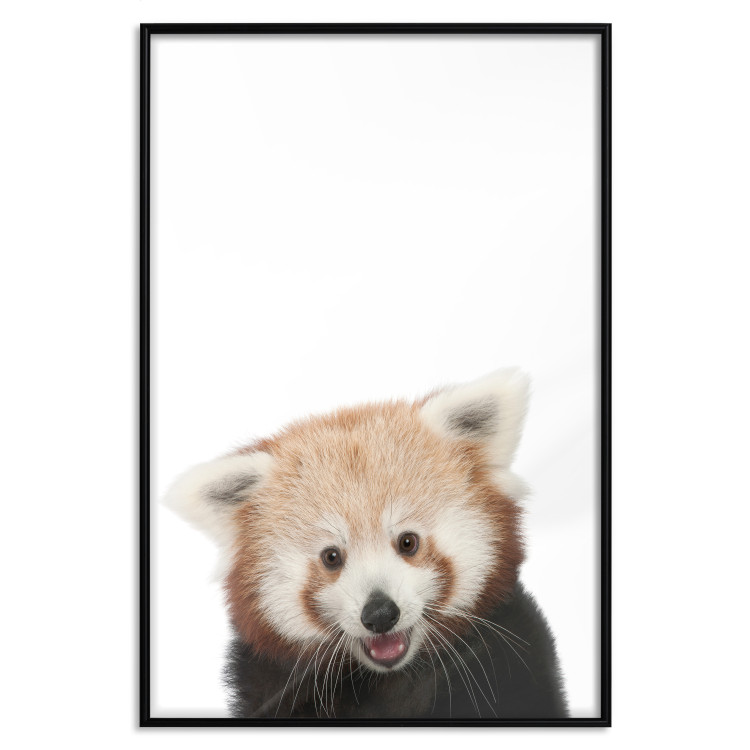 Wall Poster Young Panda - composition for children with a cheerful animal on a white background 114400 additionalImage 24