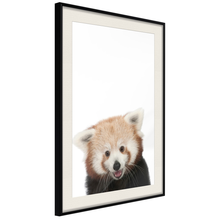 Wall Poster Young Panda - composition for children with a cheerful animal on a white background 114400 additionalImage 3