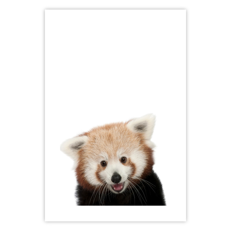 Wall Poster Young Panda - composition for children with a cheerful animal on a white background 114400 additionalImage 25
