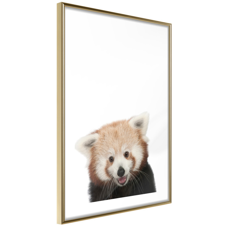 Wall Poster Young Panda - composition for children with a cheerful animal on a white background 114400 additionalImage 8
