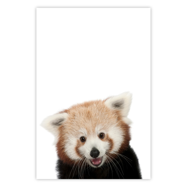 Wall Poster Young Panda - composition for children with a cheerful animal on a white background 114400
