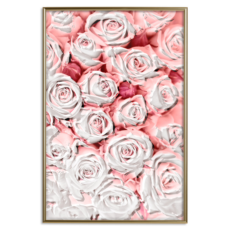 Wall Poster White Roses - beautiful composition of lovely flowers in light pink color 117900 additionalImage 14