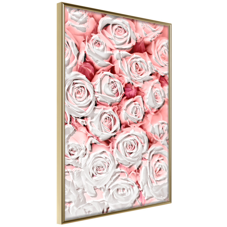 Wall Poster White Roses - beautiful composition of lovely flowers in light pink color 117900 additionalImage 12