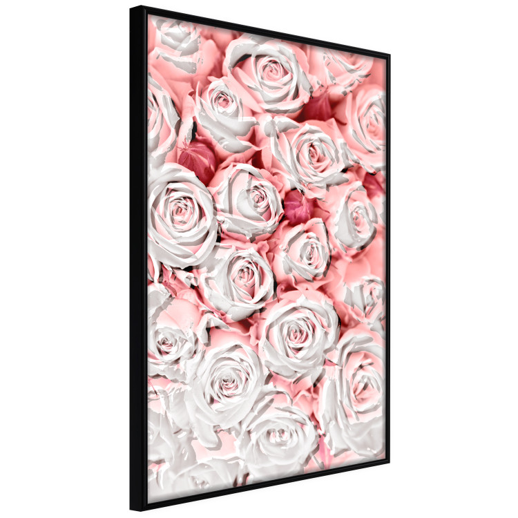 Wall Poster White Roses - beautiful composition of lovely flowers in light pink color 117900 additionalImage 10