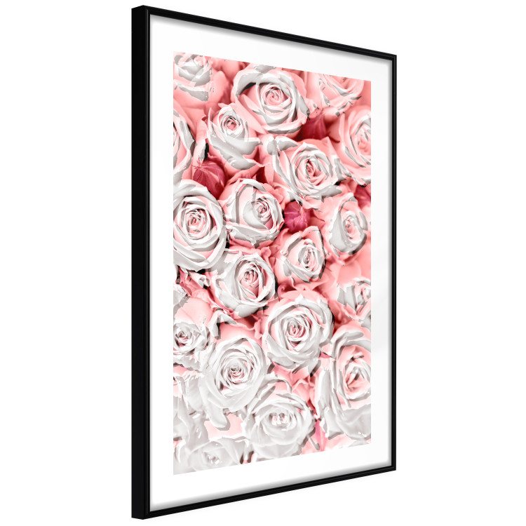 Wall Poster White Roses - beautiful composition of lovely flowers in light pink color 117900 additionalImage 11
