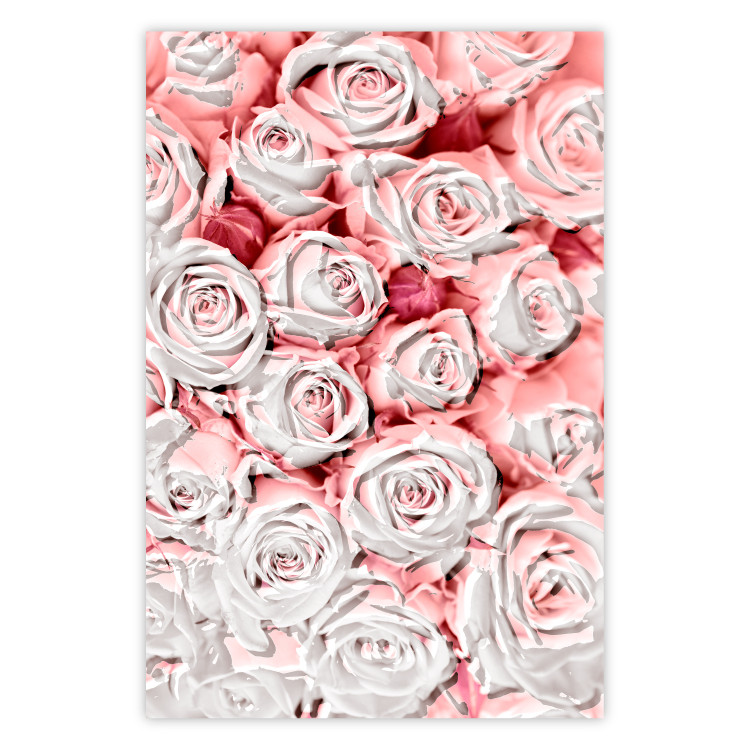 Wall Poster White Roses - beautiful composition of lovely flowers in light pink color 117900