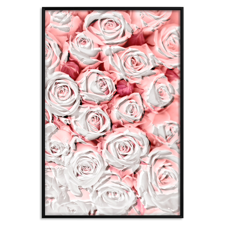 Wall Poster White Roses - beautiful composition of lovely flowers in light pink color 117900 additionalImage 15