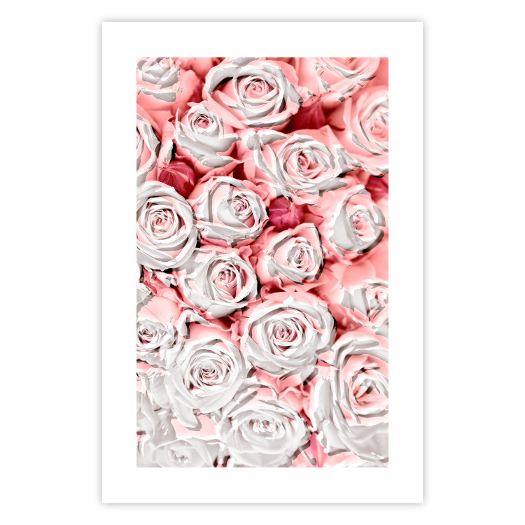 Wall Poster White Roses - beautiful composition of lovely flowers in light pink color 117900 additionalImage 18