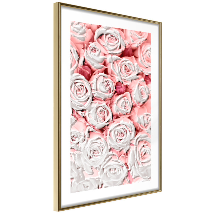 Wall Poster White Roses - beautiful composition of lovely flowers in light pink color 117900 additionalImage 6